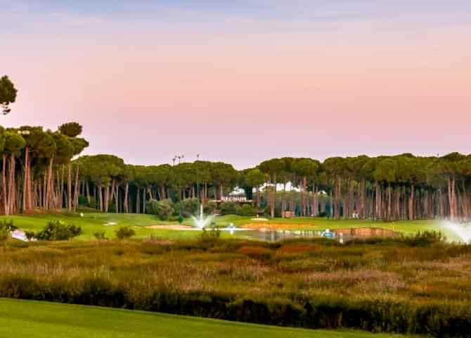 About Caryagolf M Min